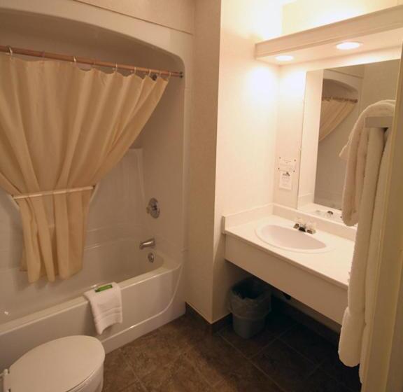 غرفه قياسيه سريرين مزدوجين, The Glen House Resort