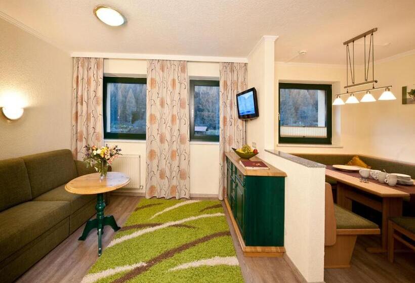 آپارتمان 2 خوابه, Alp Resort Tiroler Adler