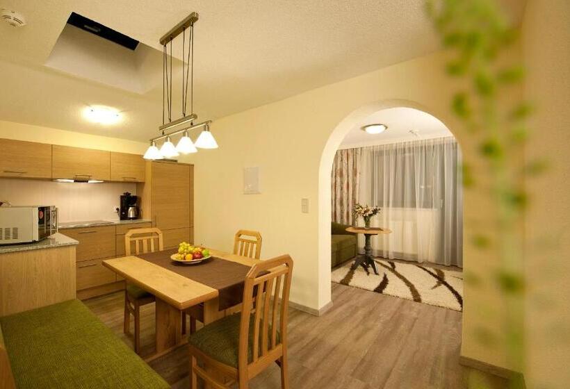 آپارتمان 2 خوابه, Alp Resort Tiroler Adler