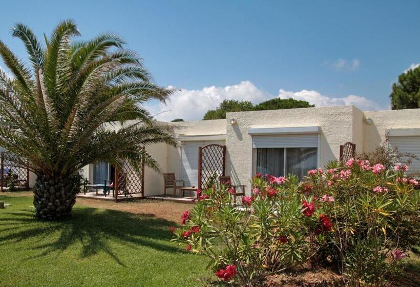 اتاق سوپریور چهار تخته, Hôtel Pineto