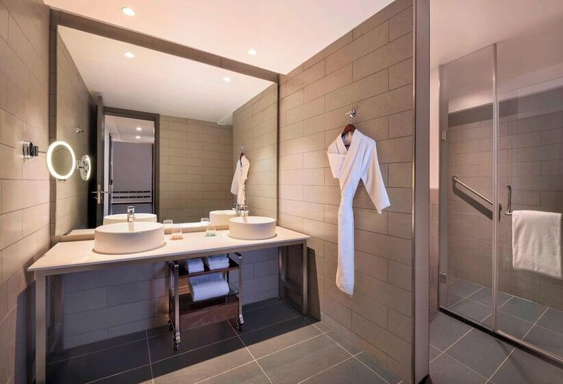 סטודיו משפחתי, Le Méridien Goa, Calangute