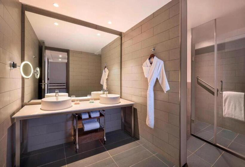 סטודיו משפחתי, Le Méridien Goa, Calangute