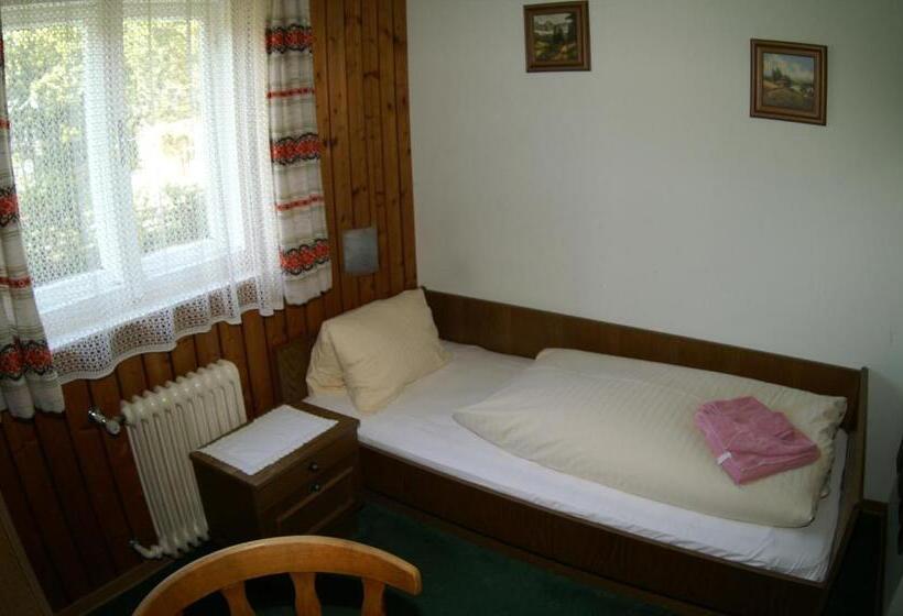 اتاق استاندارد یک نفره, Pension Heidi