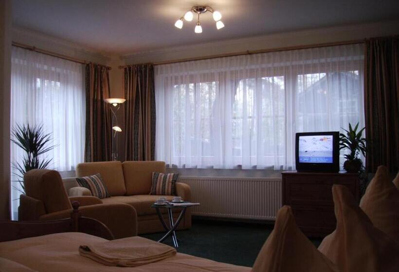 آپارتمان 2 خوابه با بالکن, Pension Heidi