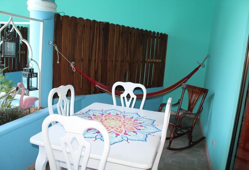 スタンダードスタジオ, Toro Blanco