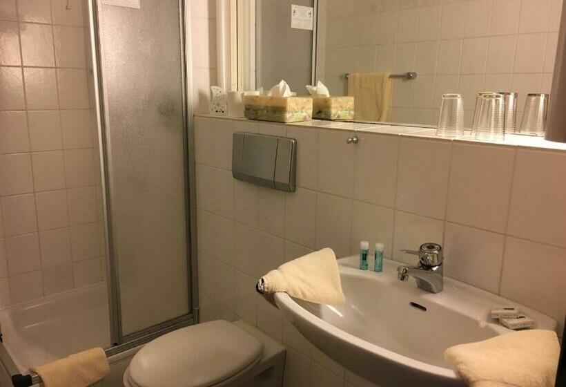 Номер Стандарт Индивидуальный, Zur Buche