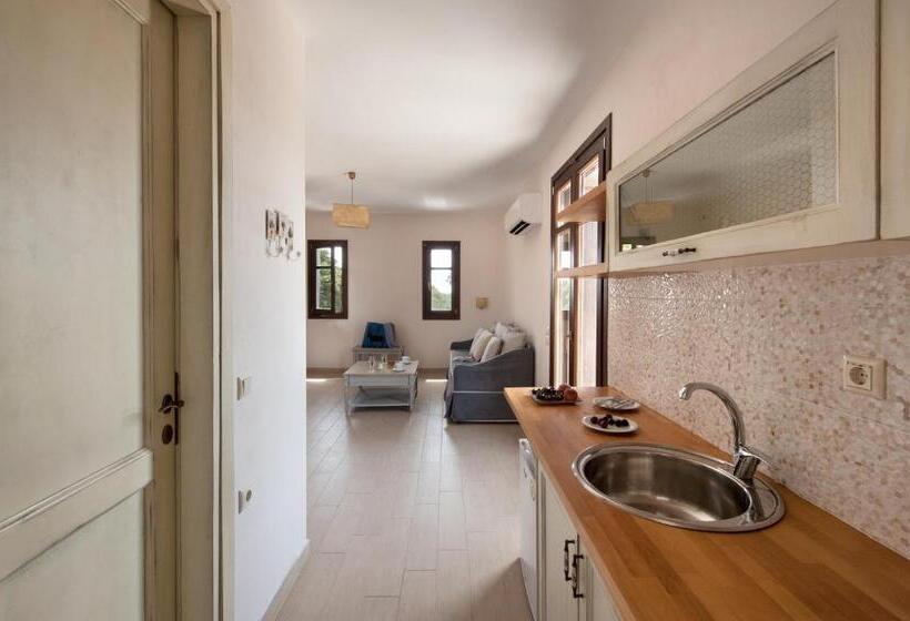 带1个卧室的带阳台的公寓, Kamares Villas