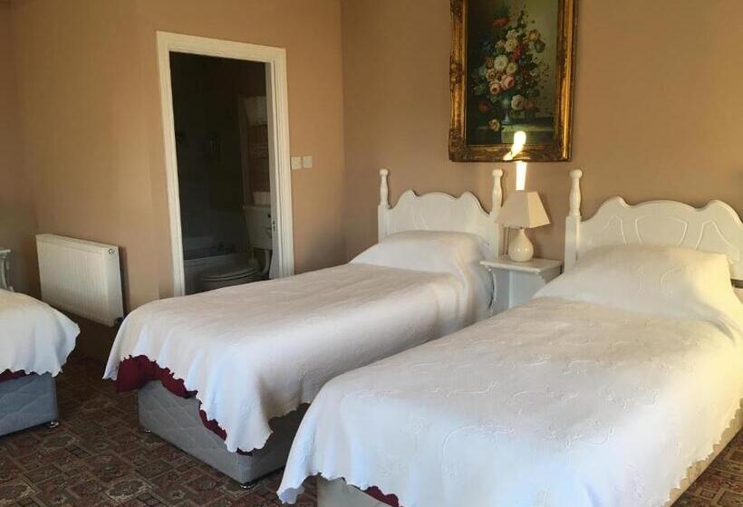 ファミリールーム, Tynte House