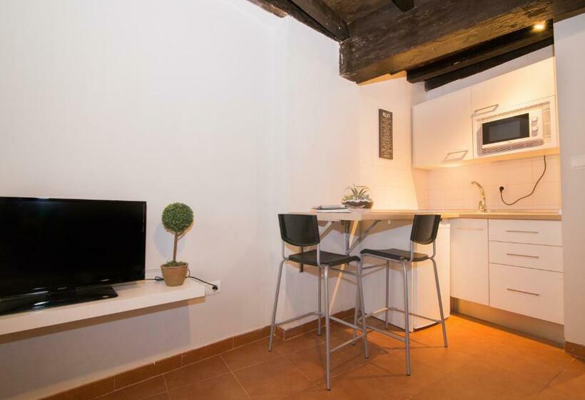 آپارتمان 1 خوابه, Apartamentos Nahira Suites 3000