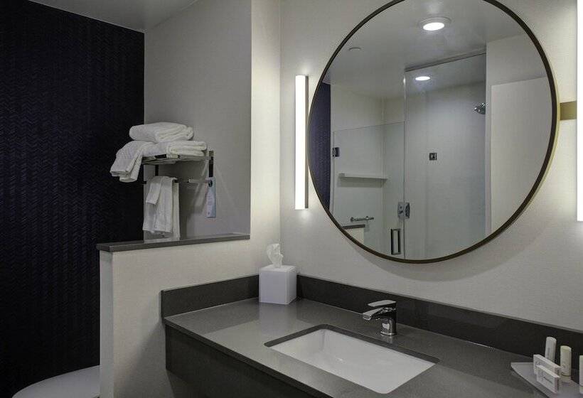 Люкс, Fairfield Inn & Suites By Marriott Allentown West
