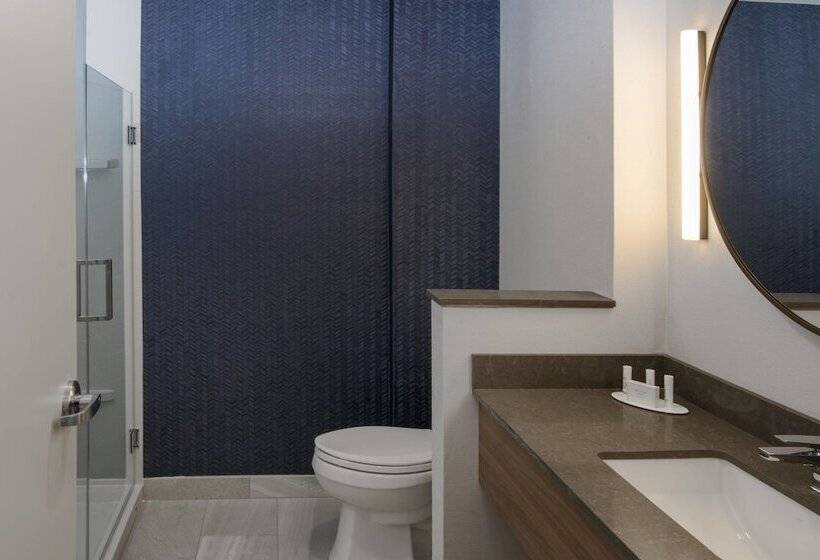 Люкс, Fairfield Inn & Suites By Marriott Allentown West