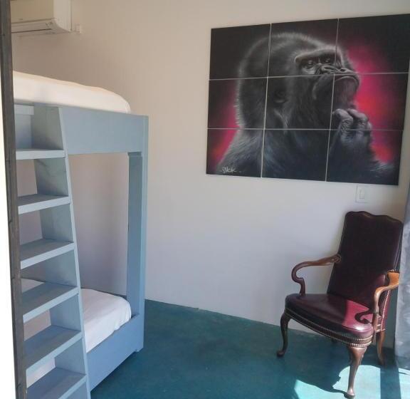 Апартаменты 1 Спальня, House Of Trestles   Hostel