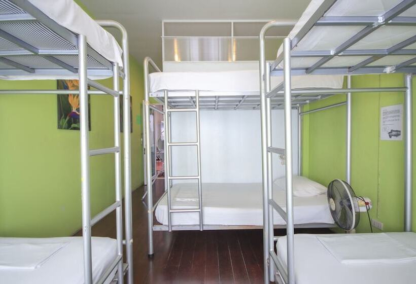 Llit en Habitació Compartida, Phuket Backpacker Hostel