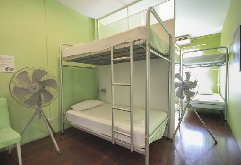 Llit en Habitació Compartida, Phuket Backpacker Hostel