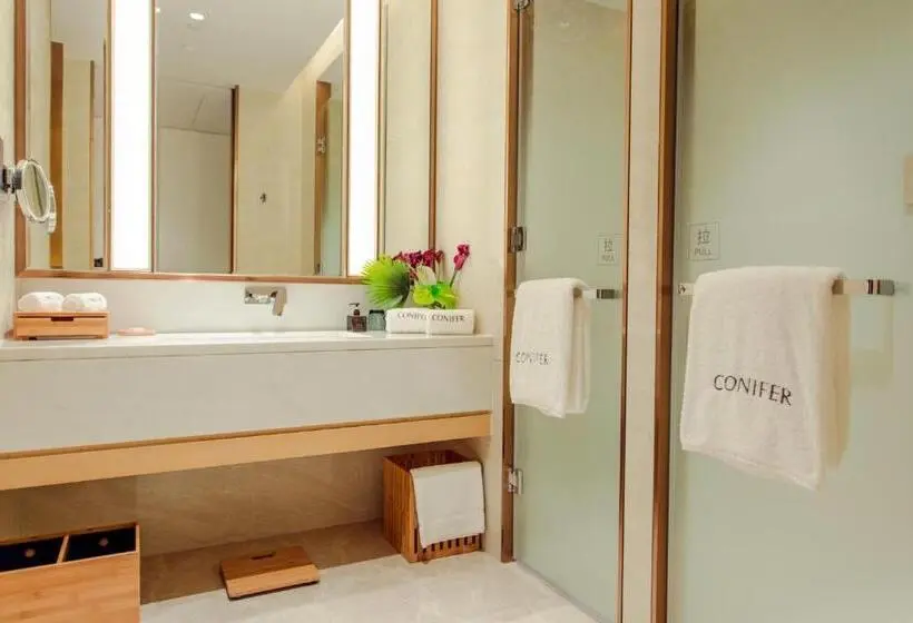 Standard-huone Puutarhanäkymä, Sanya Conifer Resort