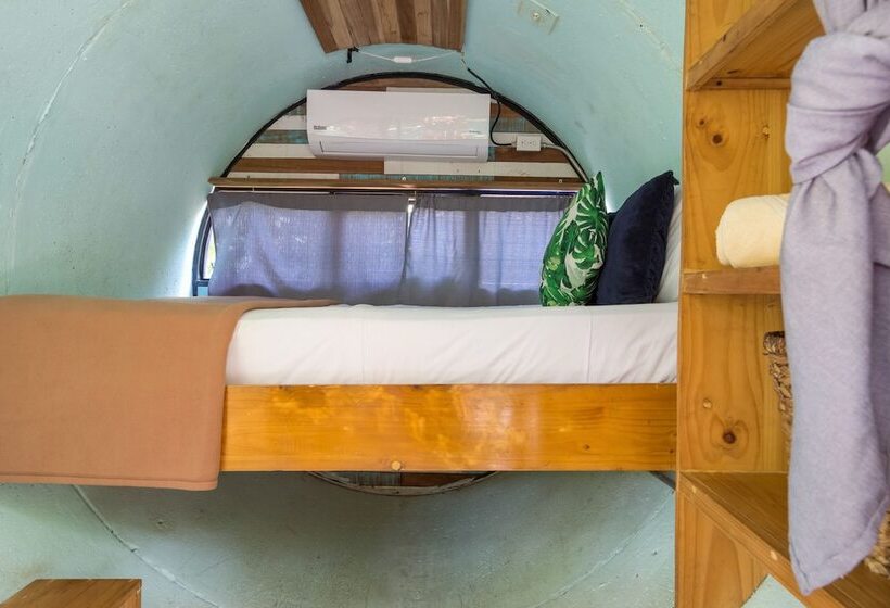 Номер Стандарт, Selina Jaco