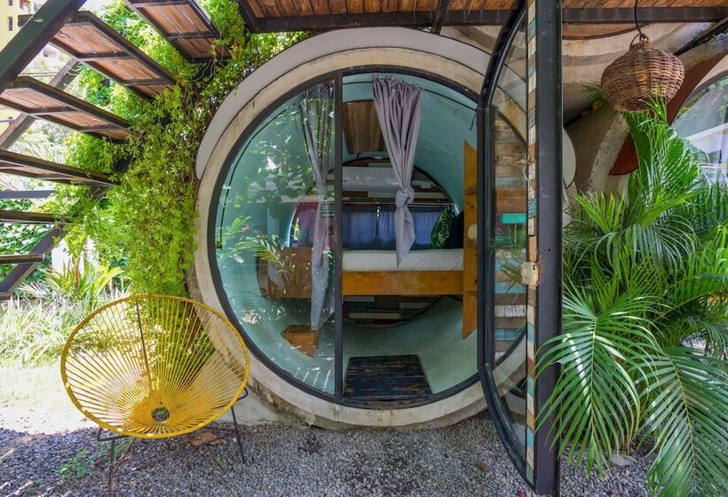 Номер Стандарт, Selina Jaco