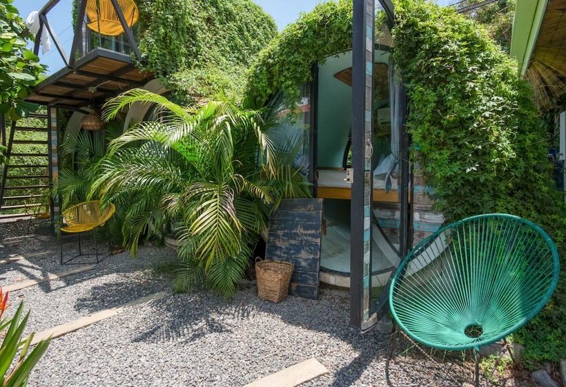 Номер Стандарт, Selina Jaco