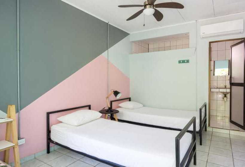 Номер Стандарт, Selina Jaco