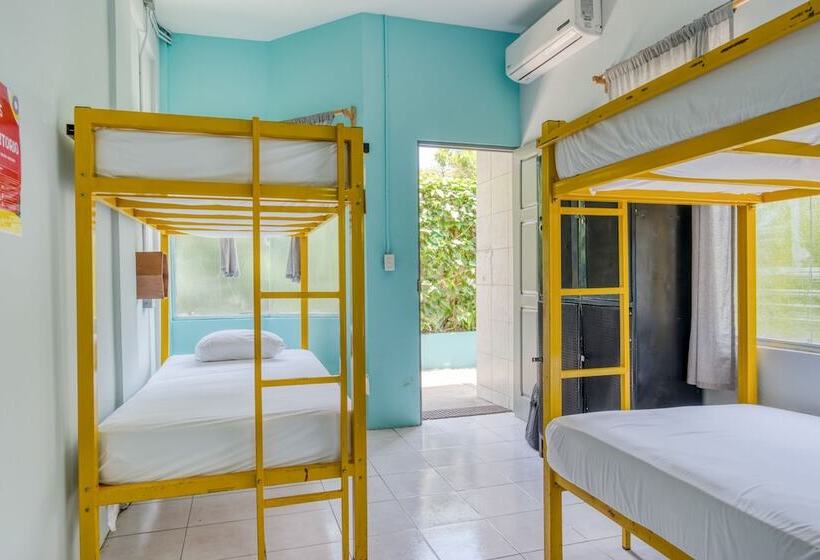 Семейный Номер, Selina Jaco