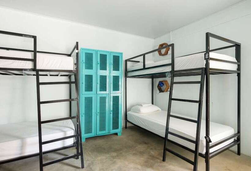 Номер Basic, Selina Jaco