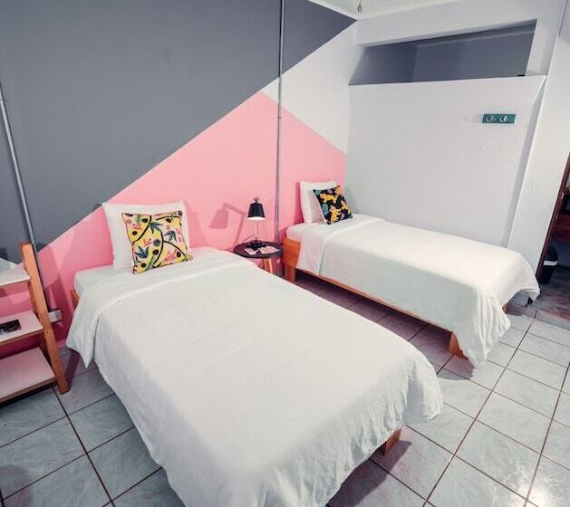 Номер Стандарт, Selina Jaco