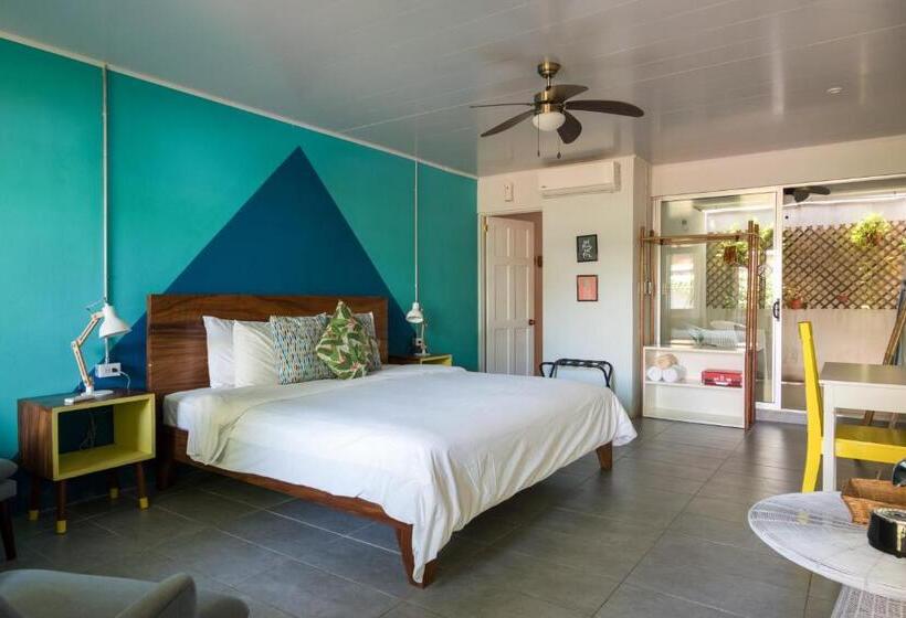 Номер Стандарт, Selina Jaco