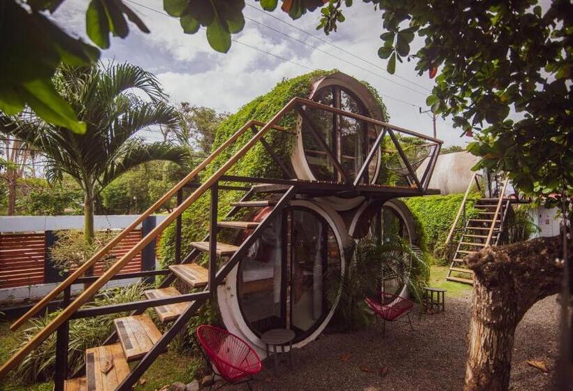 Номер Basic, Selina Jaco