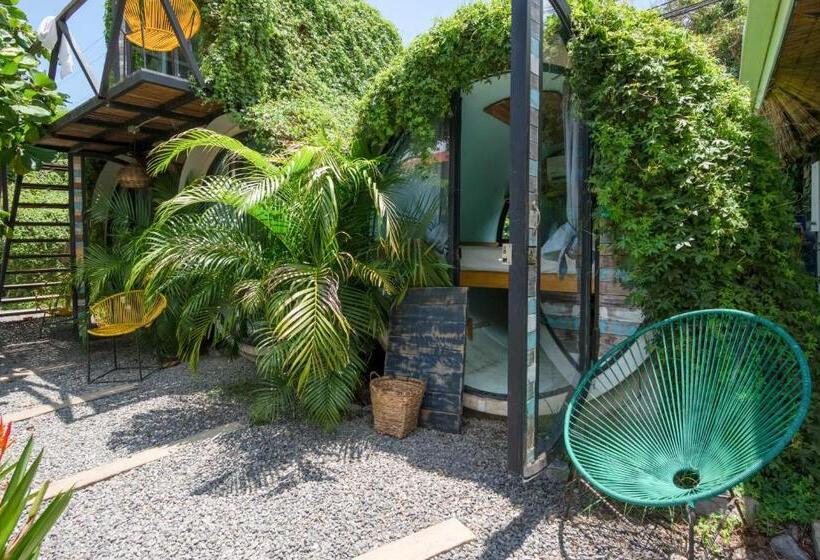 Номер Basic, Selina Jaco