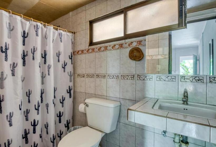 Номер Стандарт, Selina Jaco