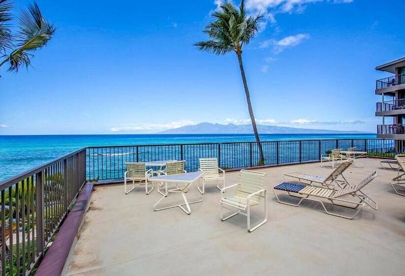 شقة غرفة واحدة, Hale Ono Loa