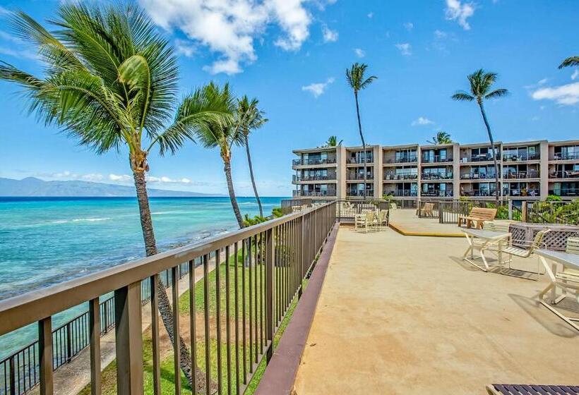 شقة غرفة واحدة, Hale Ono Loa