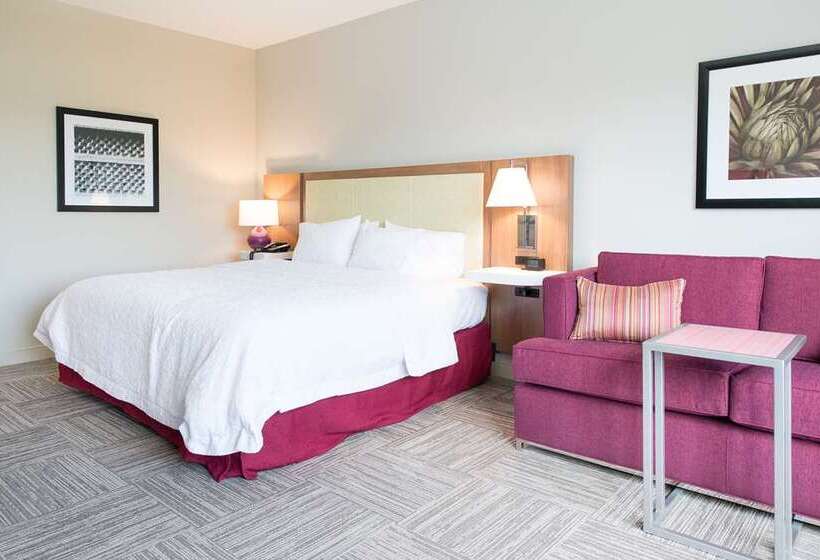스탠다드 룸, Hampton Inn & Suites Mount Laurel/moorestown