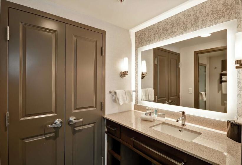 جناح, Homewood Suites By Hilton Detroit