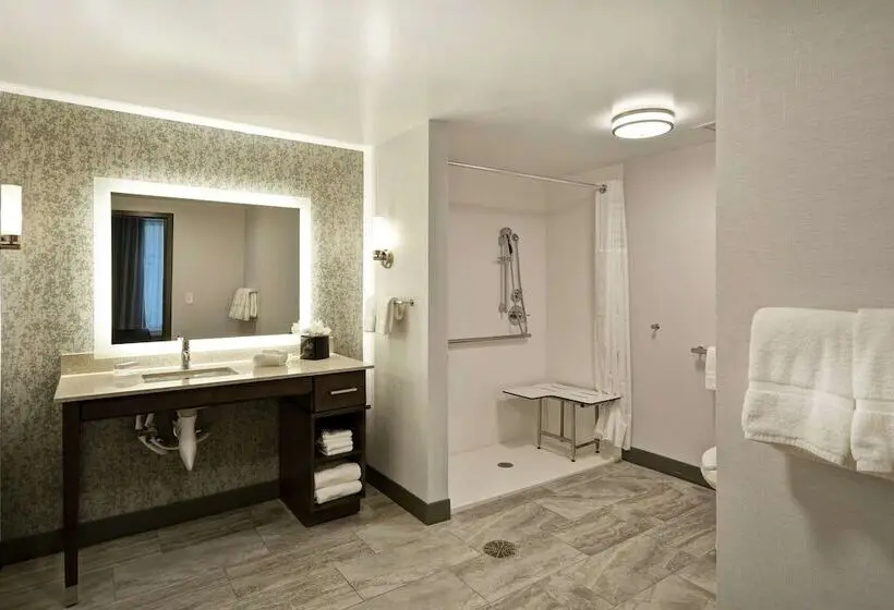 身障者適用スイートルーム, Homewood Suites By Hilton Detroit