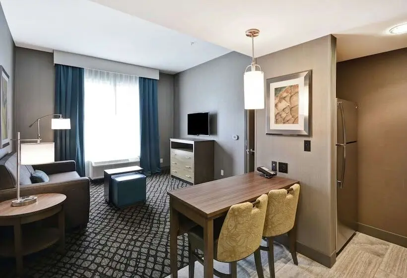 身障者適用スイートルーム, Homewood Suites By Hilton Detroit