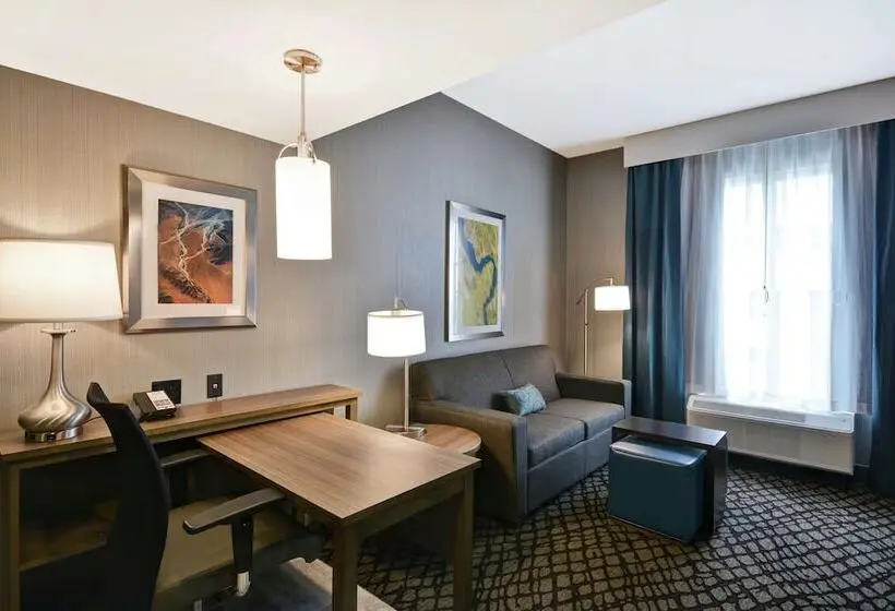 身障者適用スイートルーム, Homewood Suites By Hilton Detroit
