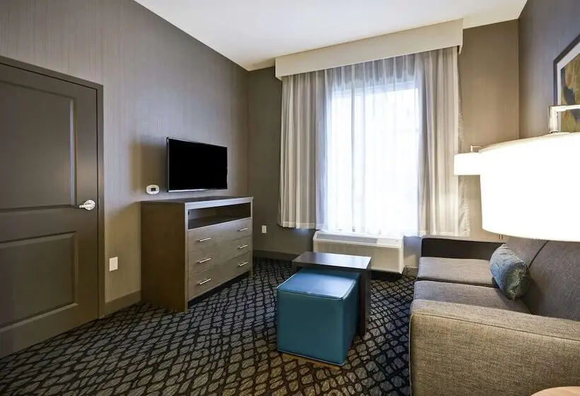 身障者適用スイートルーム, Homewood Suites By Hilton Detroit