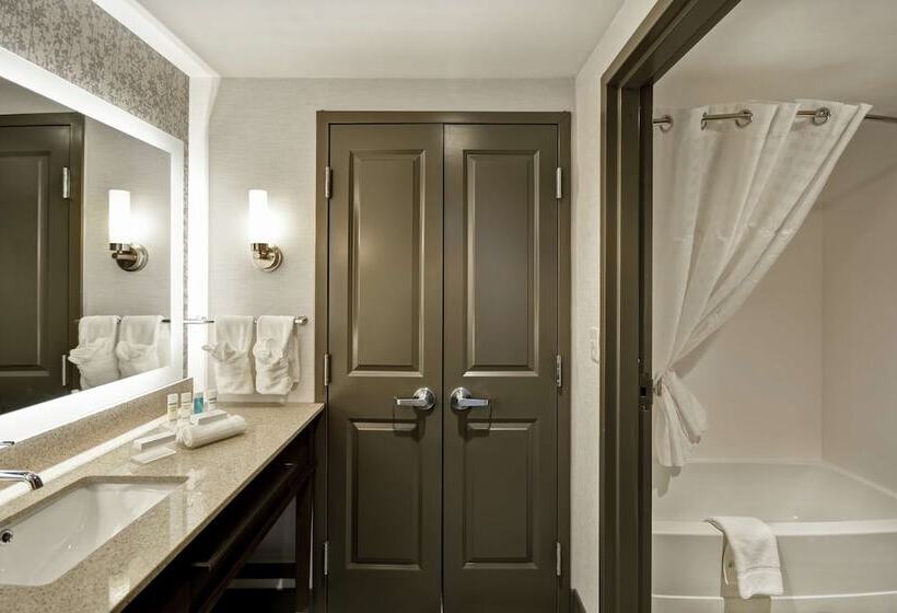 جناح لذوى الاحتياجات الخاصة, Homewood Suites By Hilton Detroit