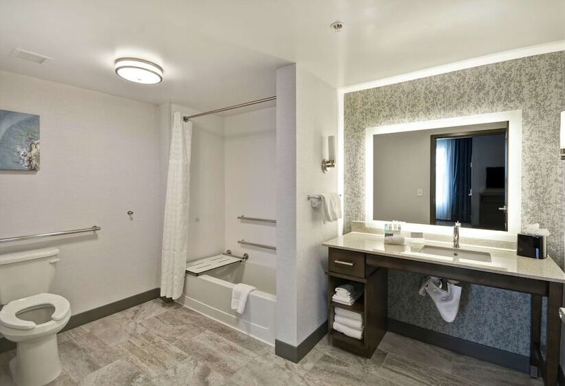 جناح لذوى الاحتياجات الخاصة, Homewood Suites By Hilton Detroit
