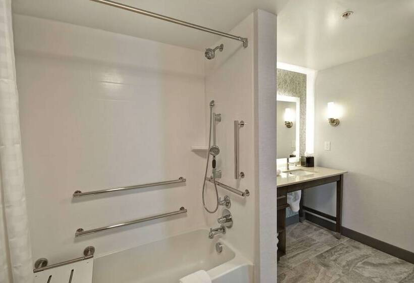 جناح لذوى الاحتياجات الخاصة, Homewood Suites By Hilton Detroit