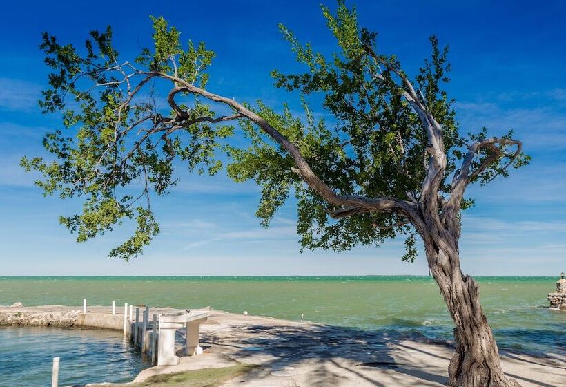 منزل 4 غرف نوم, La Jolla Resort