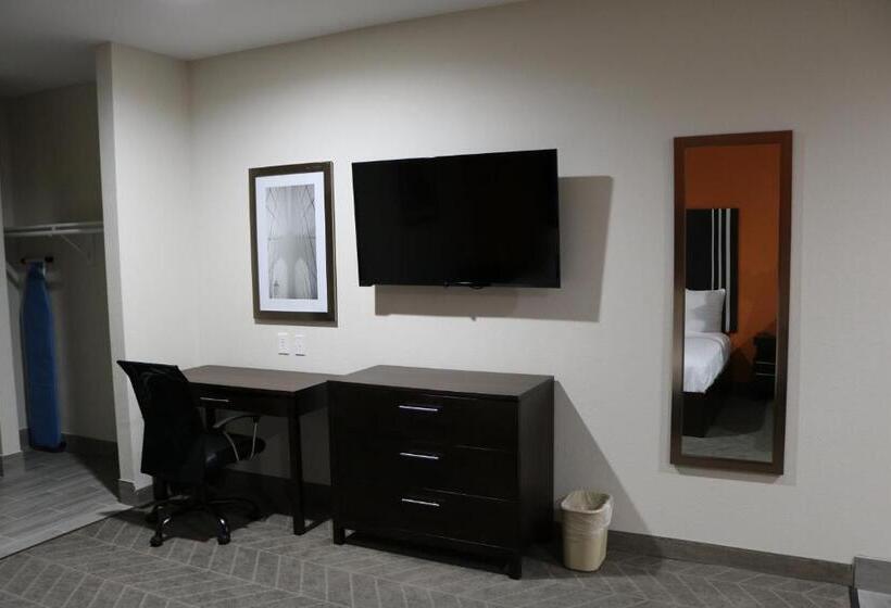 غرفة قياسية سرير كينج لذوى الإحتياجات الخاصة, Scottish Inn & Suites  Iah Airport