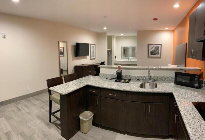 סטודיו דלוקס, Scottish Inn & Suites  Iah Airport