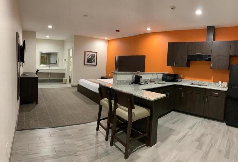 إستوديو ديلوكس, Scottish Inn & Suites  Iah Airport