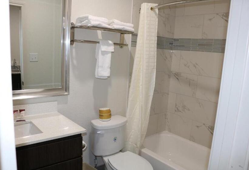 إستوديو قياسى, Scottish Inn & Suites  Iah Airport