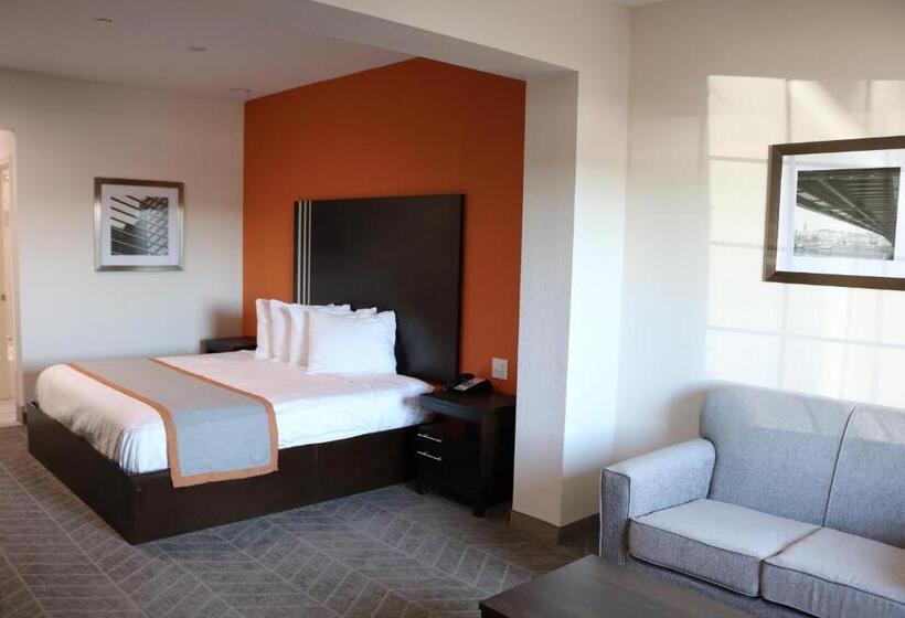 غرفة قياسية سرير كينج, Scottish Inn & Suites  Iah Airport