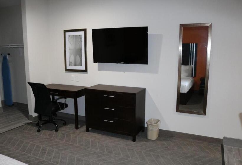 סטודיו דלוקס, Scottish Inn & Suites  Iah Airport