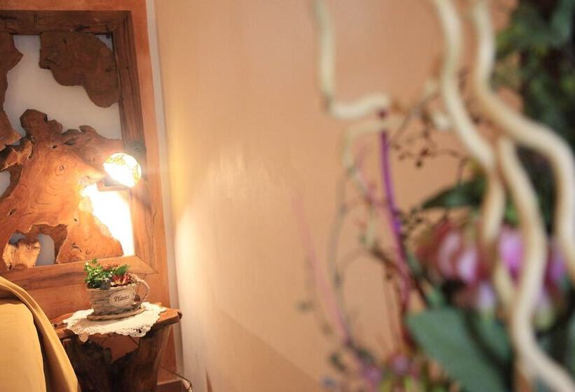 スタンダードルーム, Donnaciccina Accomodation