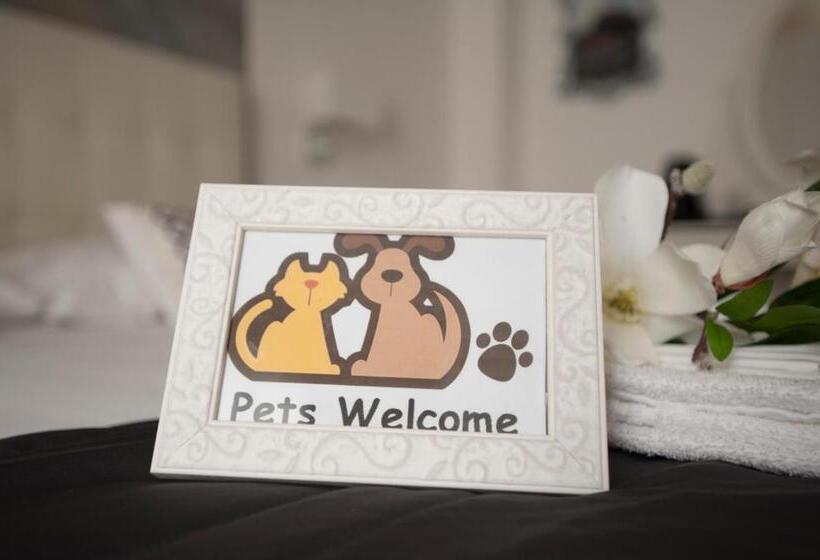 غرفة سوبيريور, My Way